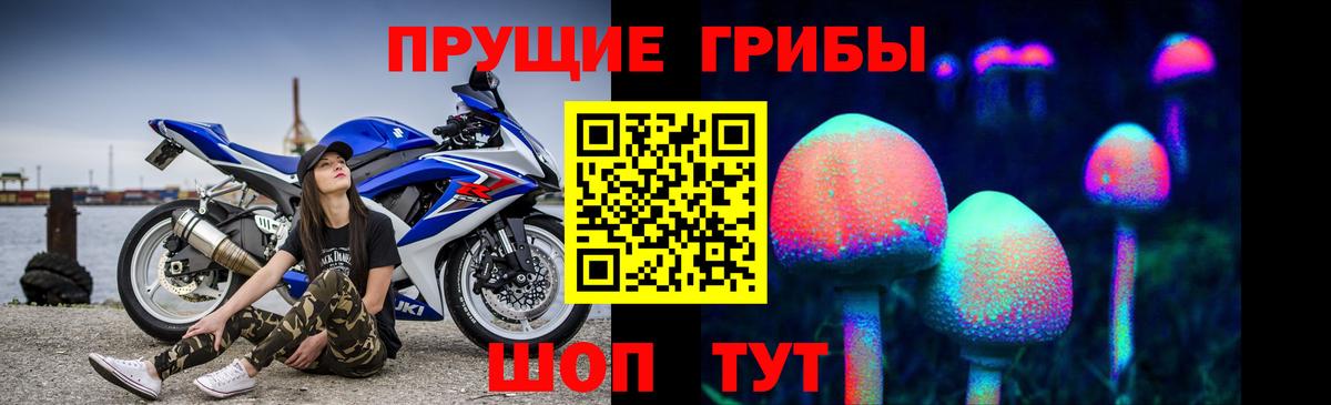 Псилоцибиновые грибы MAGIC MUSHROOMS  Вход с VPN  Комсомольск-на-Амуре 